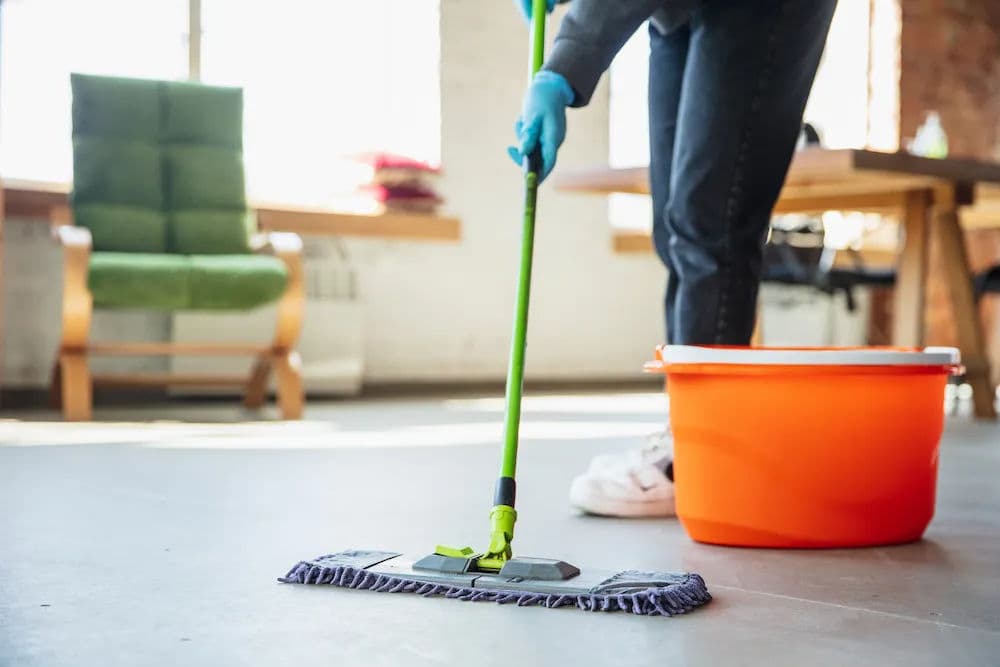 About Clean Transitions LLC
